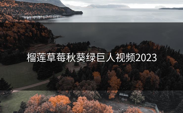 榴莲草莓秋葵绿巨人视频2023